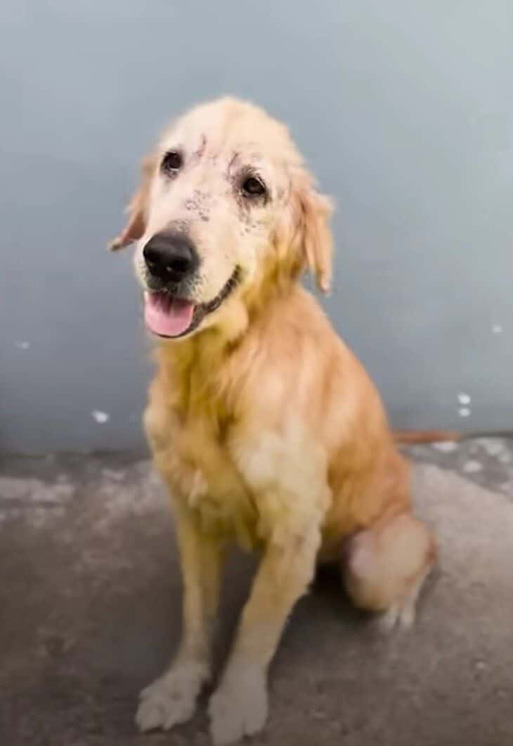 Extra image from article