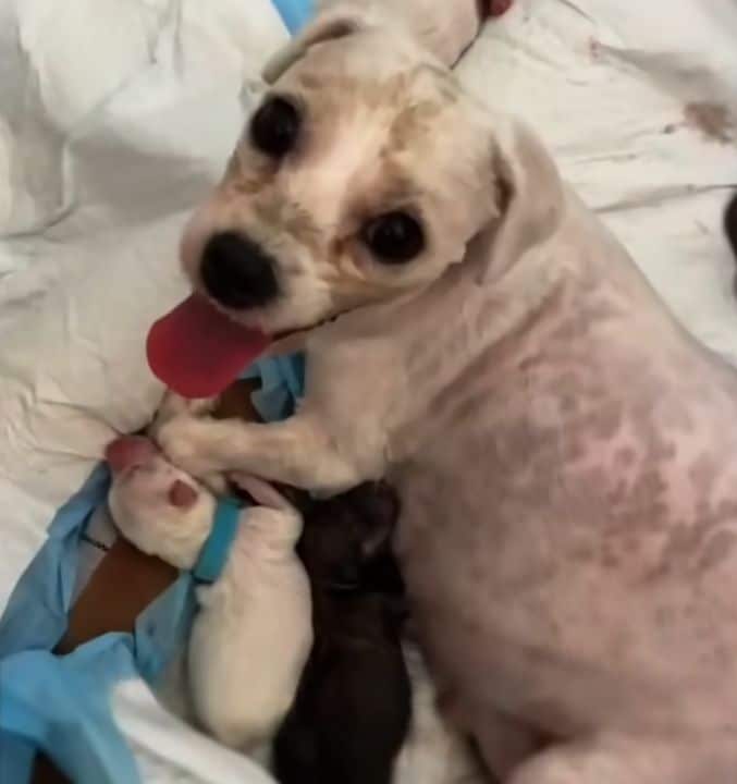 Extra image from article