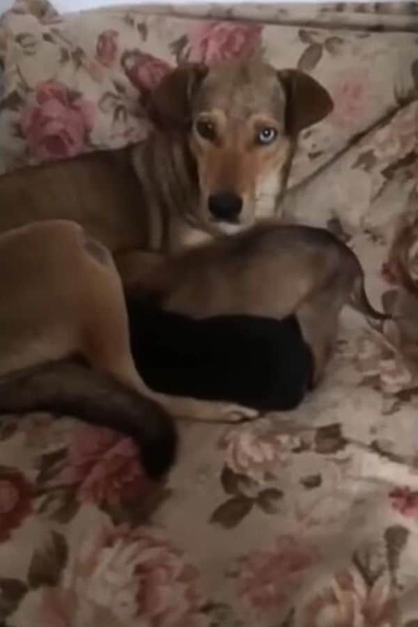 Extra image from article