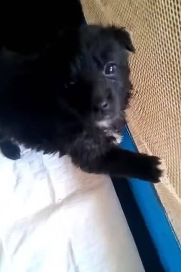 Extra image from article