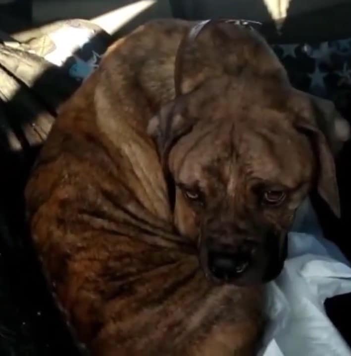 Incredibly, after two years marked by st...