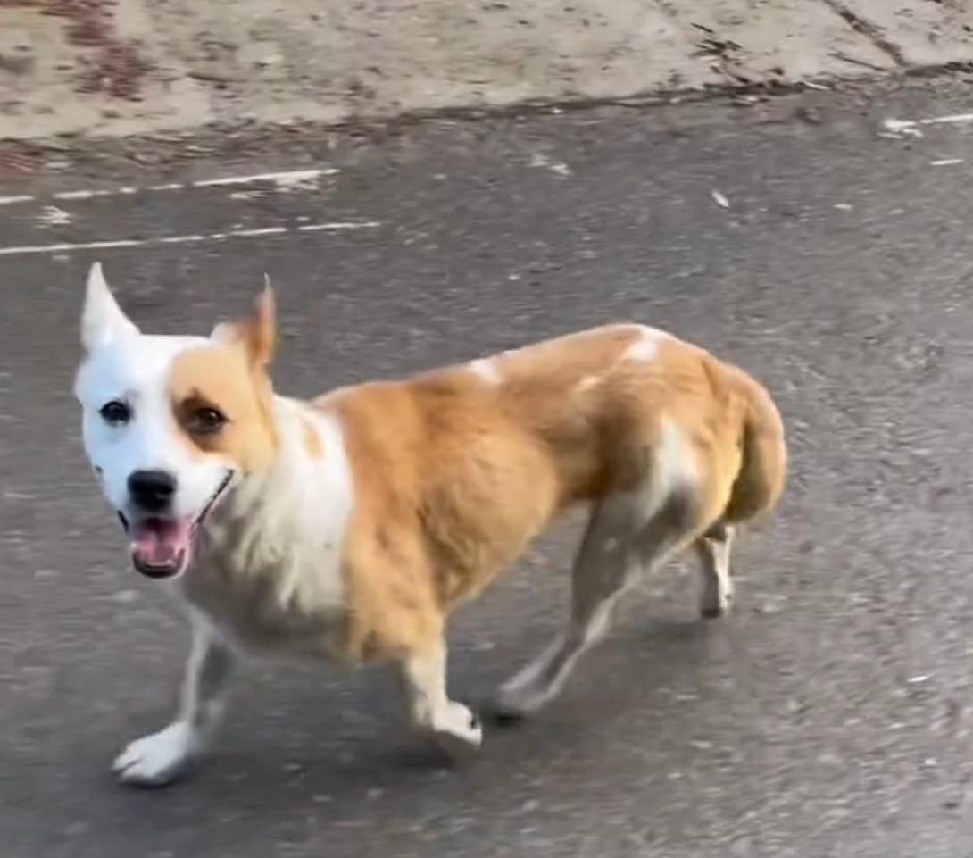 Myatt's instincts led her to follow Orla...