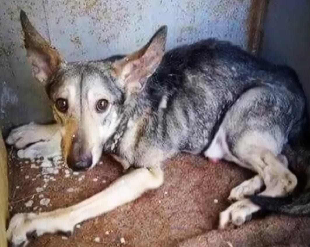 With his health stabilized, the search f...