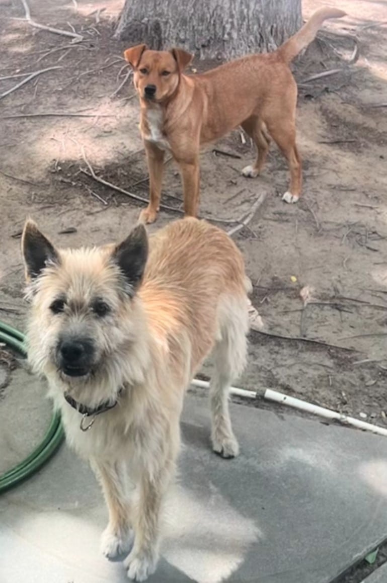 Extra image from article