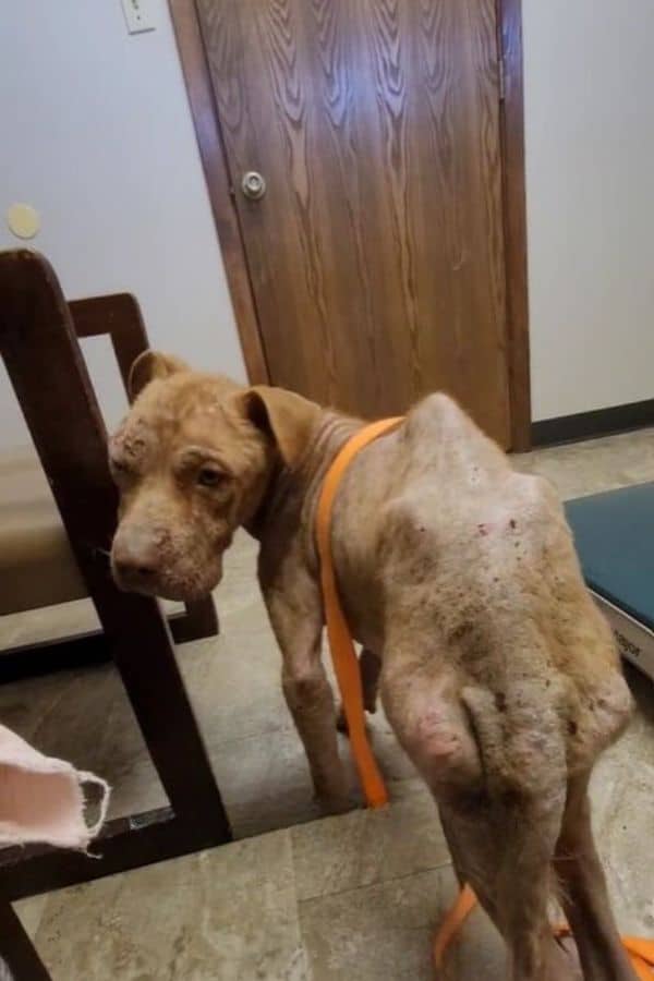 When she reached Chance, she was taken a...