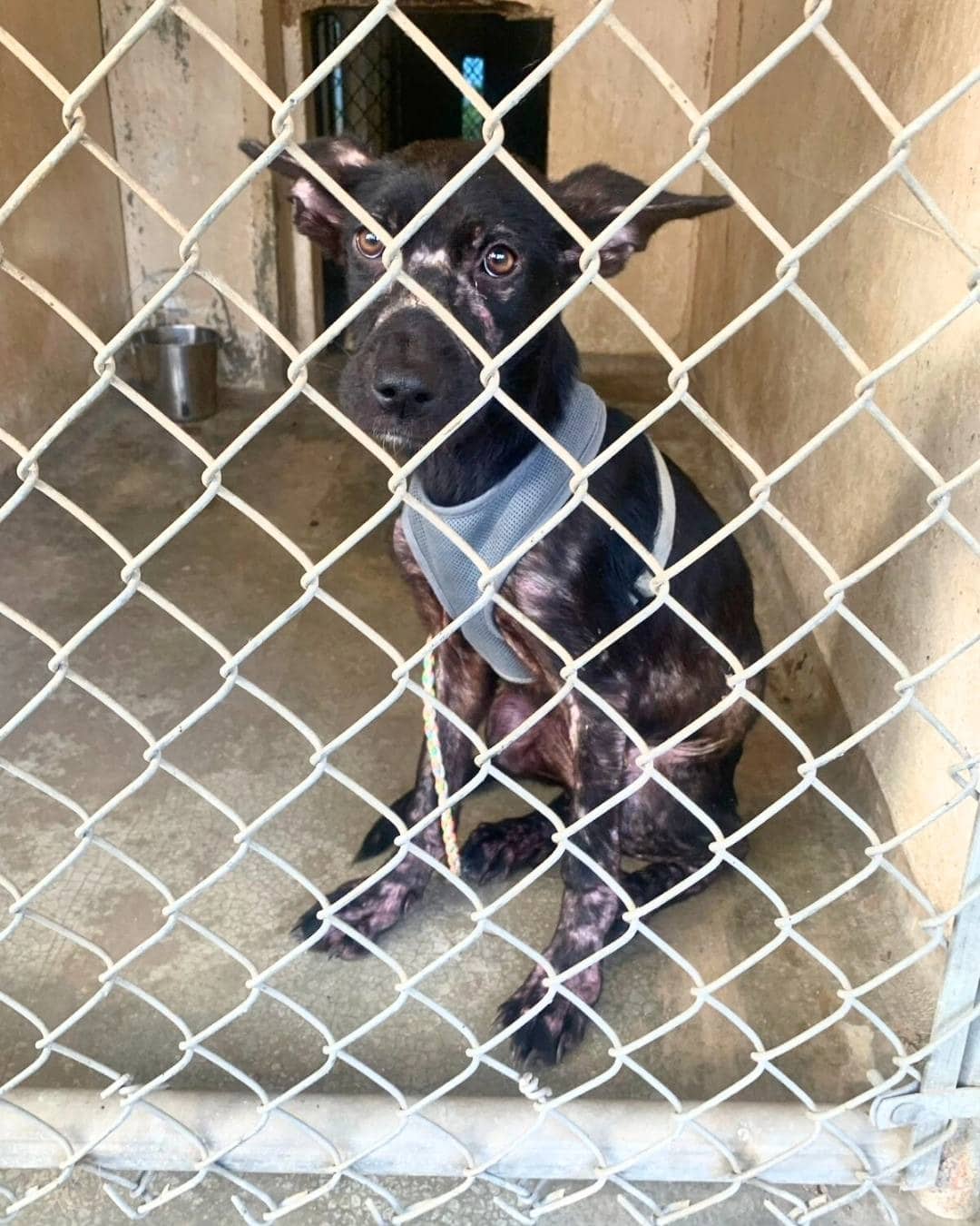 Extra image from article