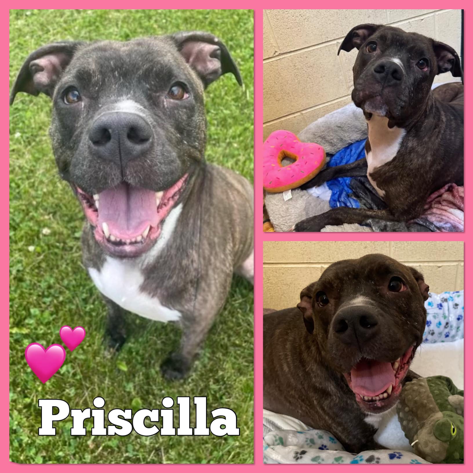 Extra image from article