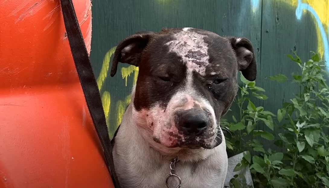 Extra image from article