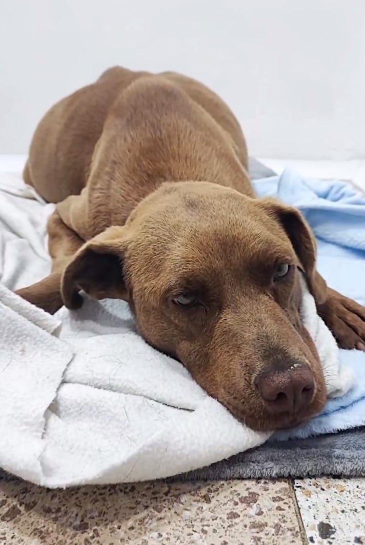 Extra image from article