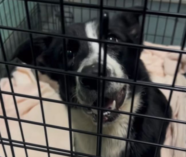 Though the future chapters of their stor...