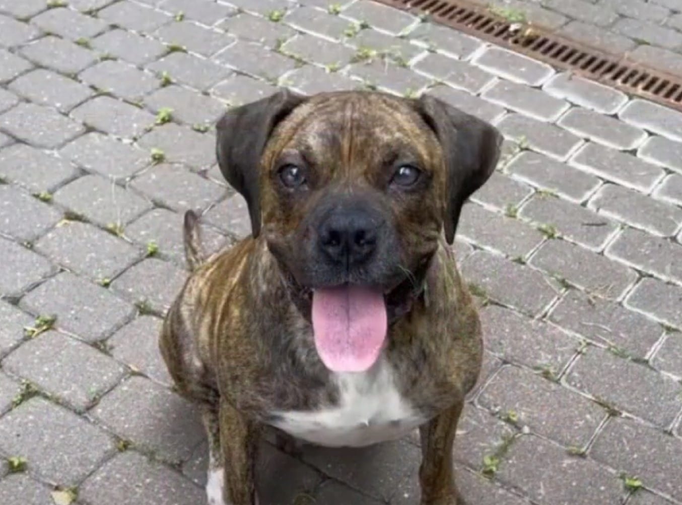 Extra image from article