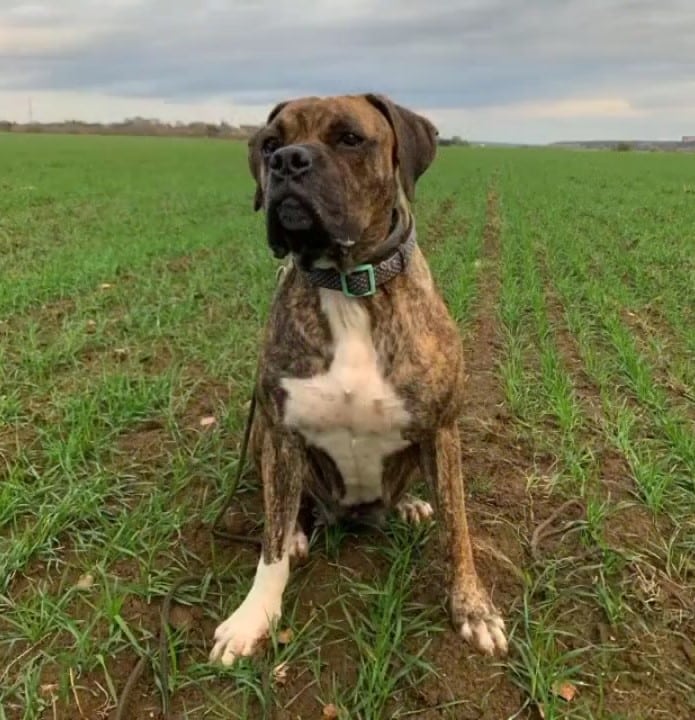 Extra image from article