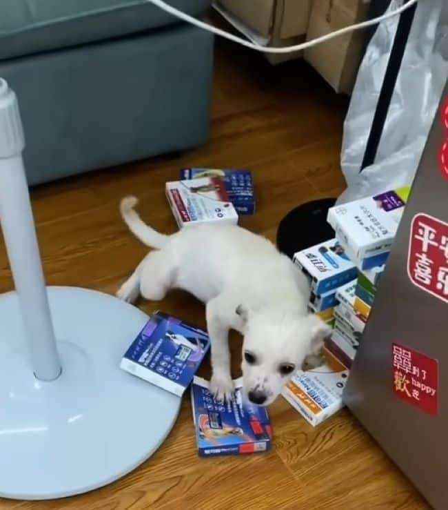 Extra image from article