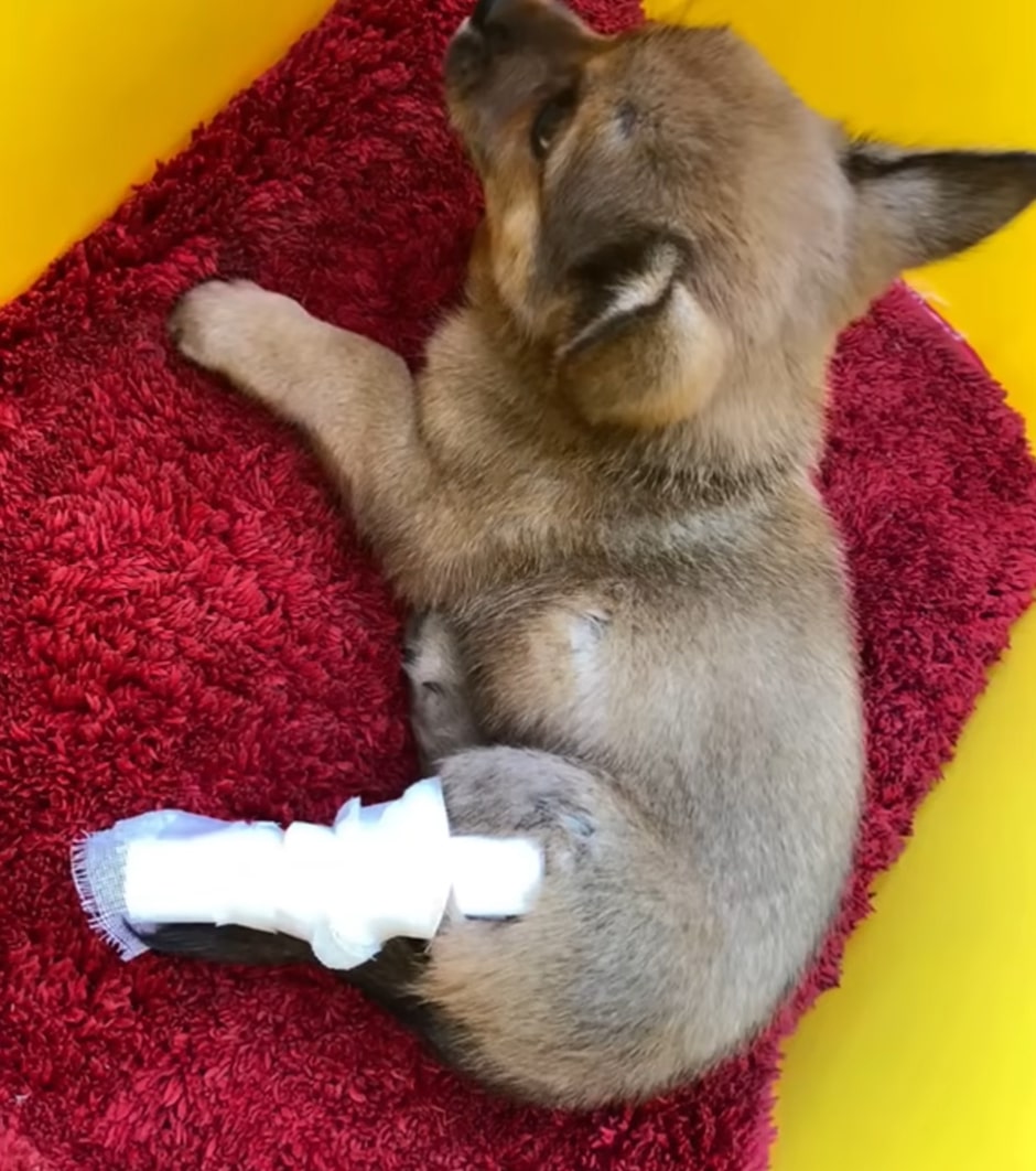 Extra image from article