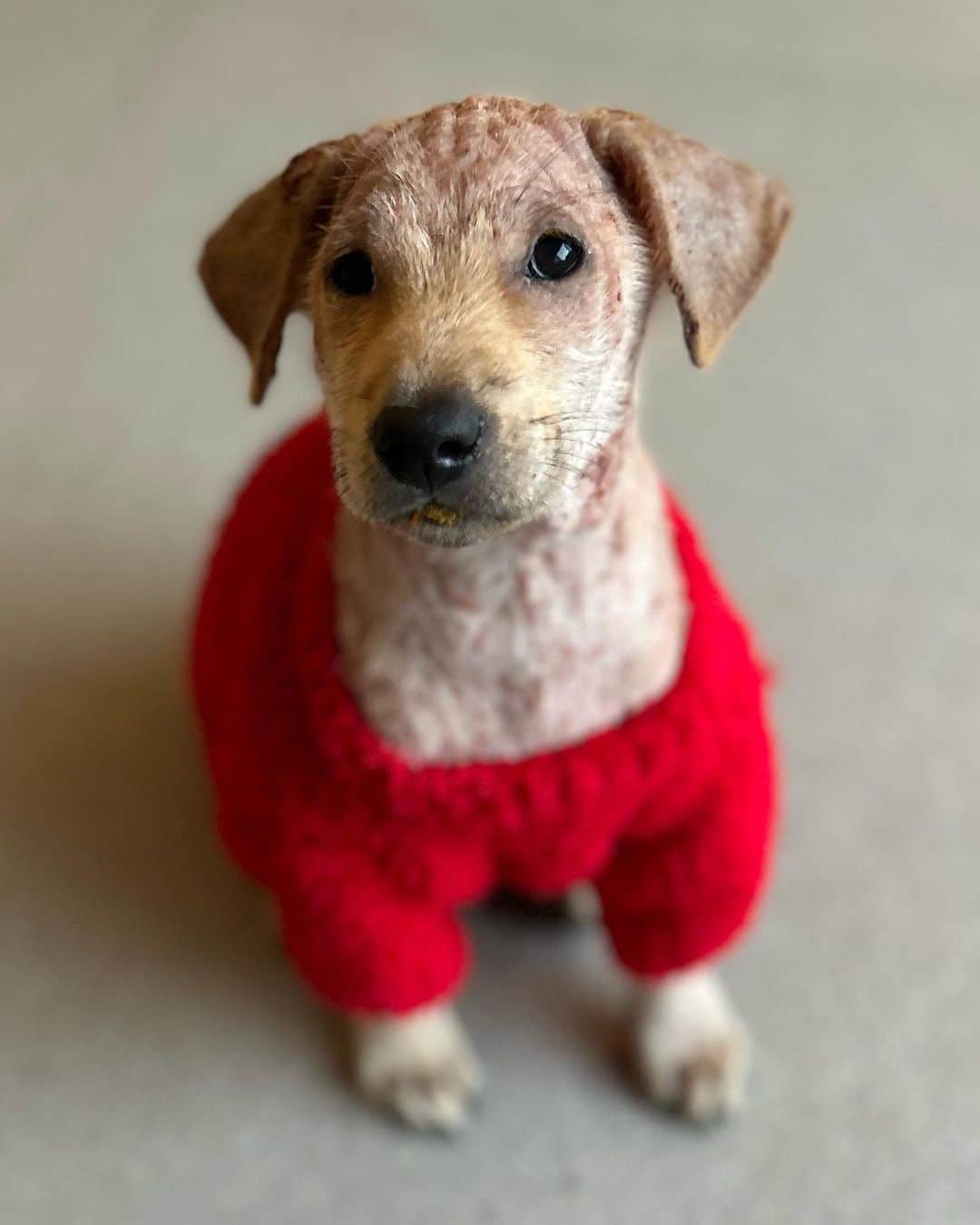 Extra image from article