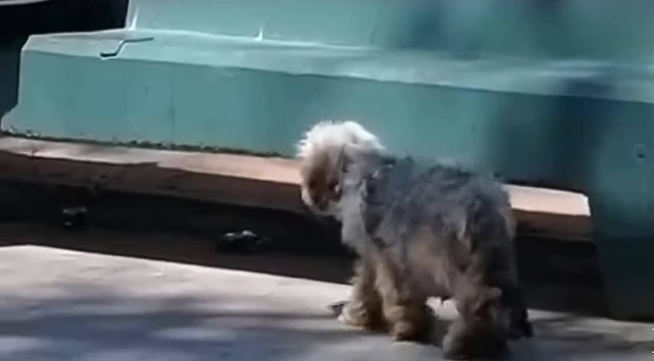 Extra image from article