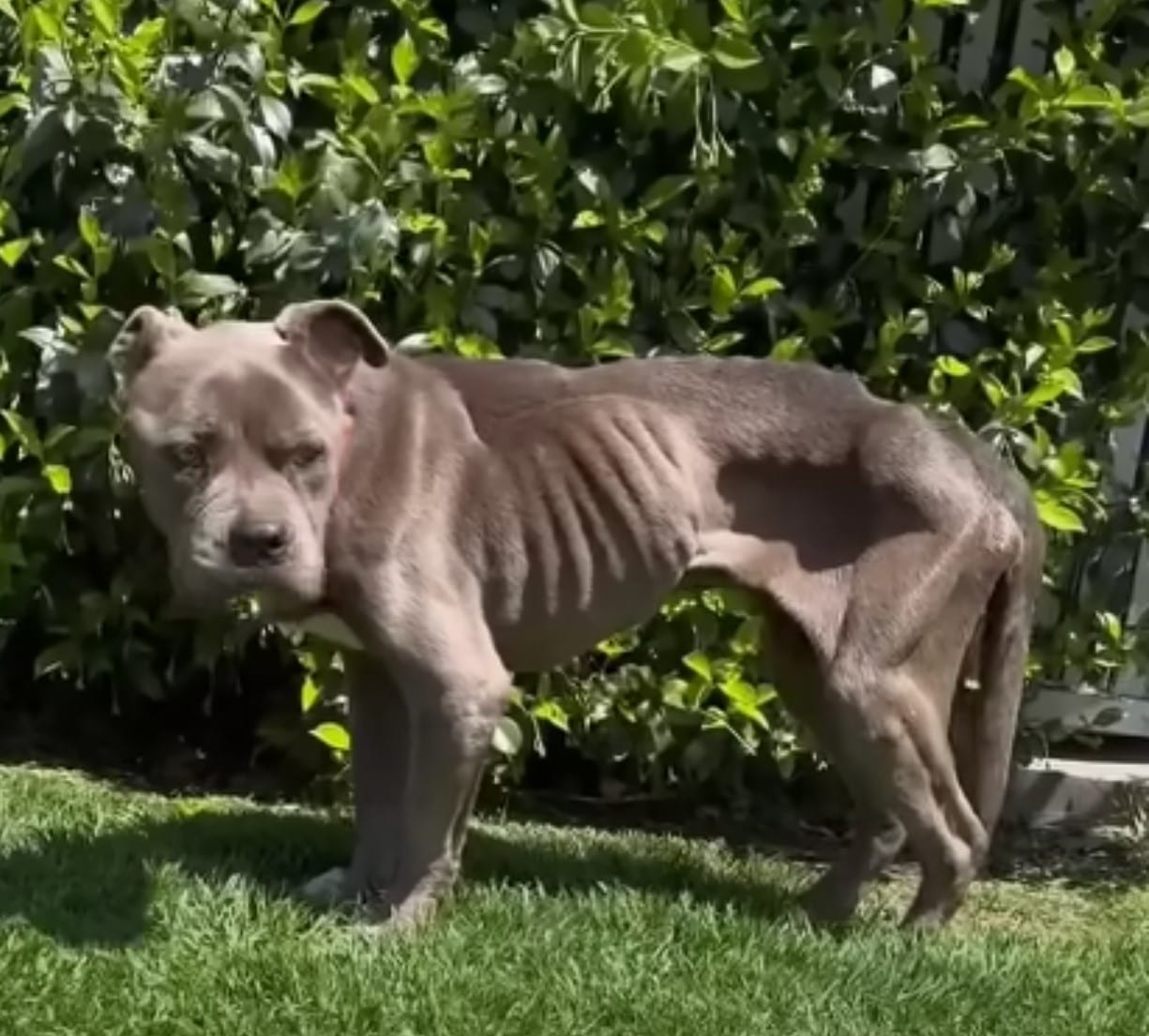 Extra image from article