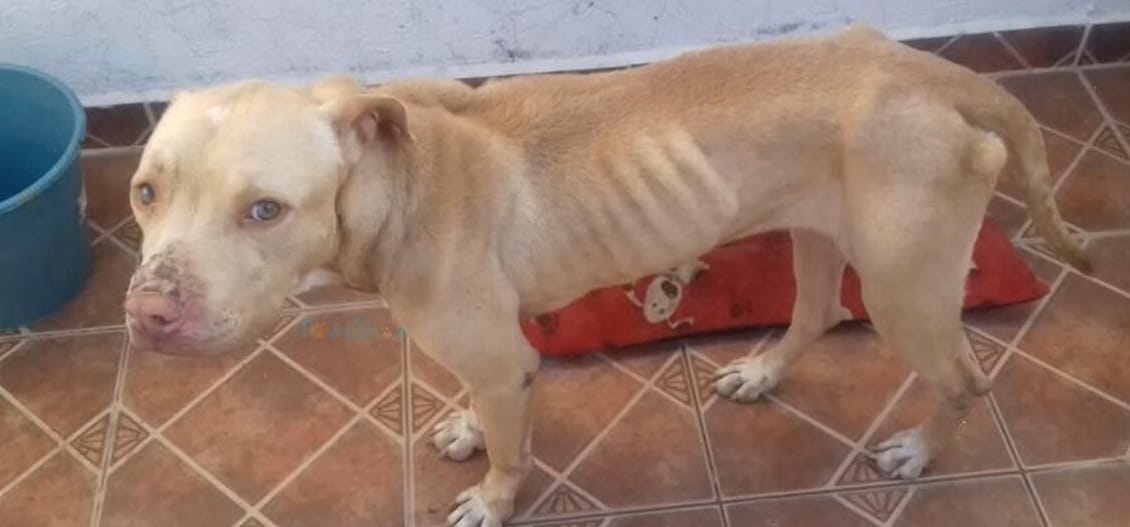 Extra image from article