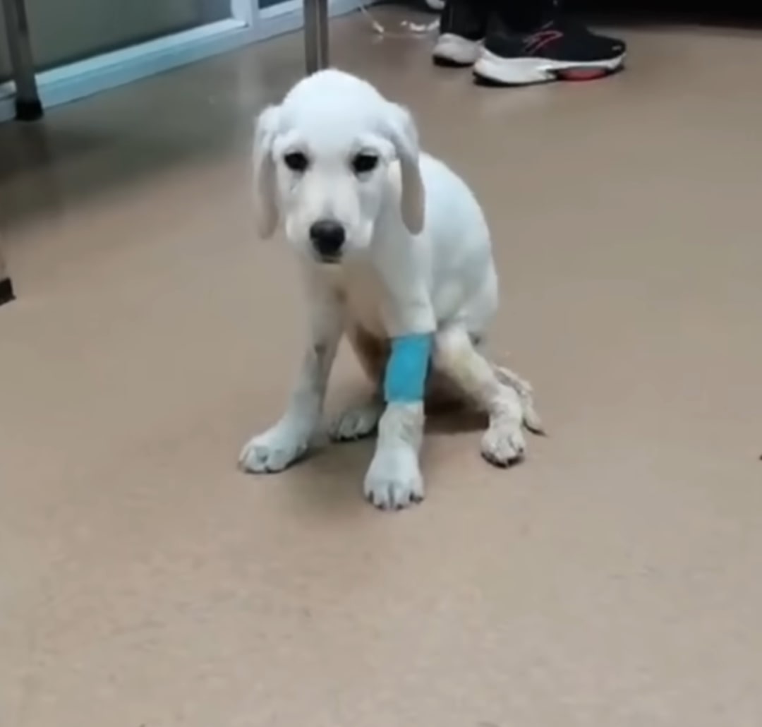 Extra image from article