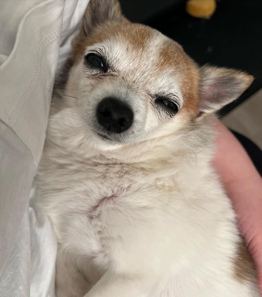 Extra image from article