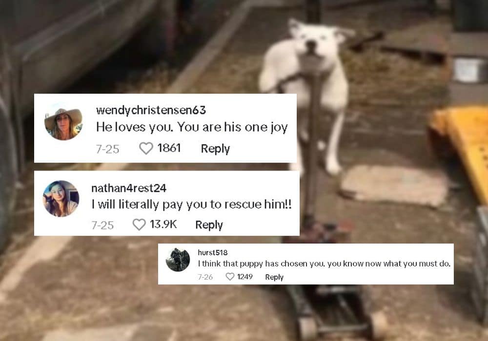 Extra image from article