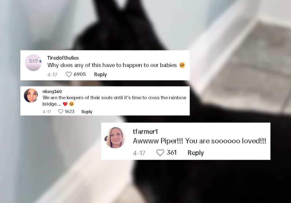 Extra image from article