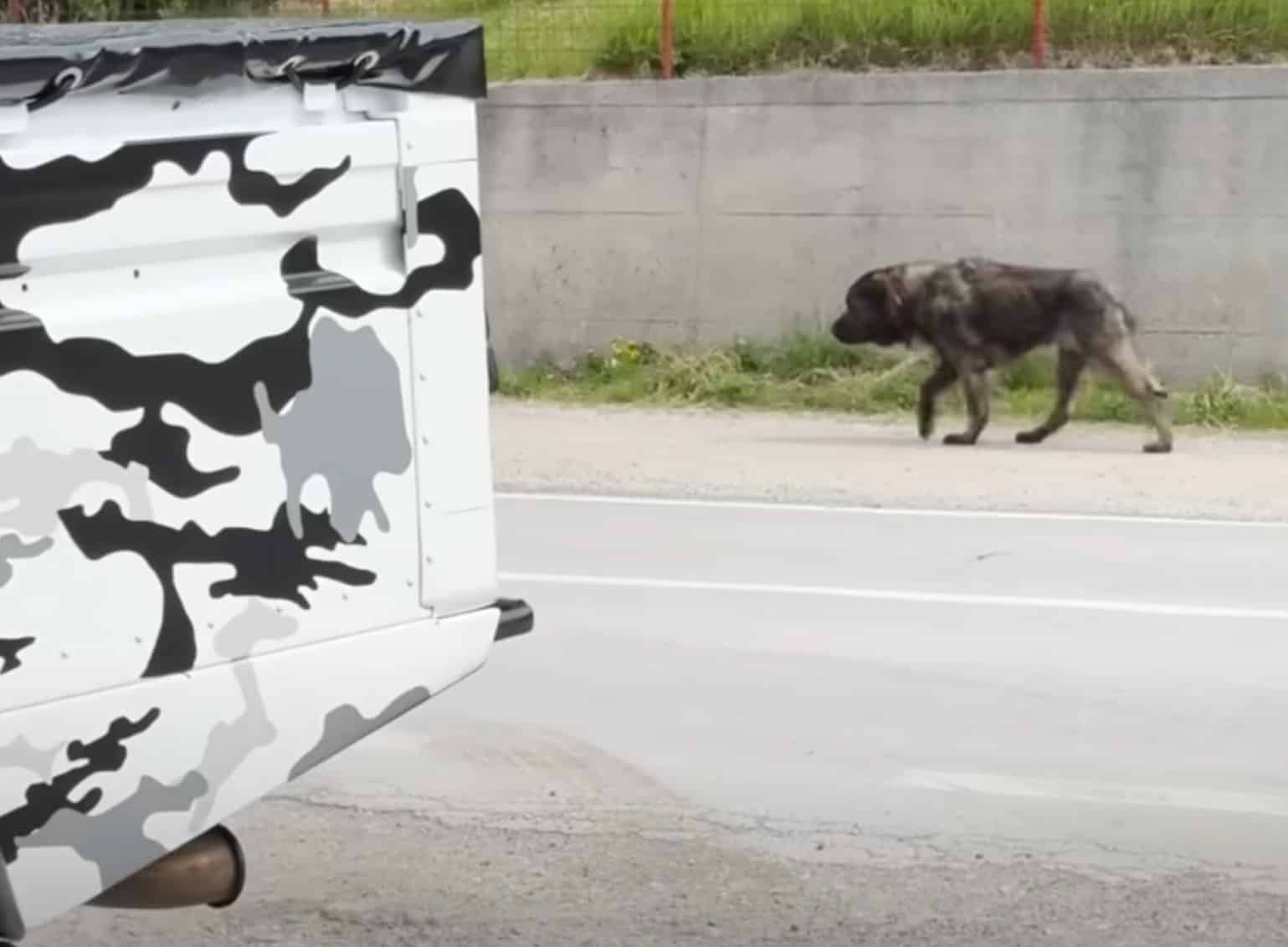 The next morning, Kango looked like a ne...