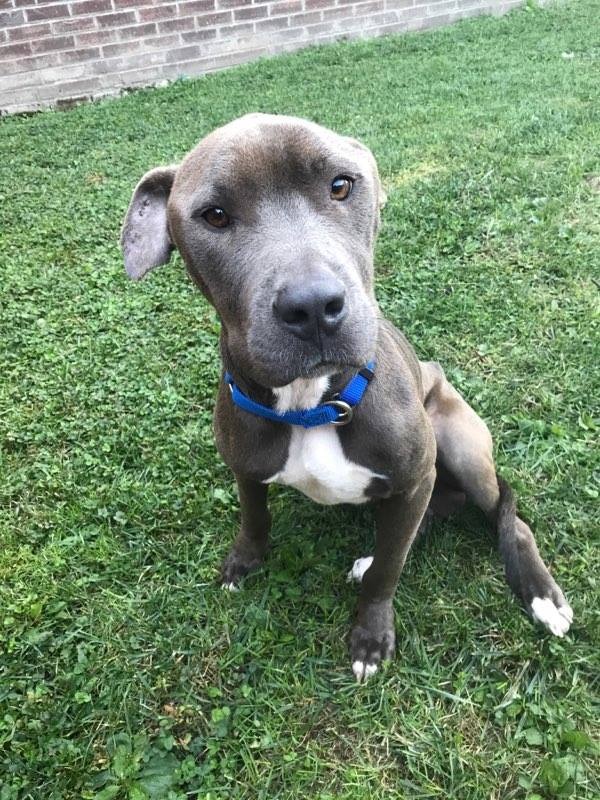 Extra image from article