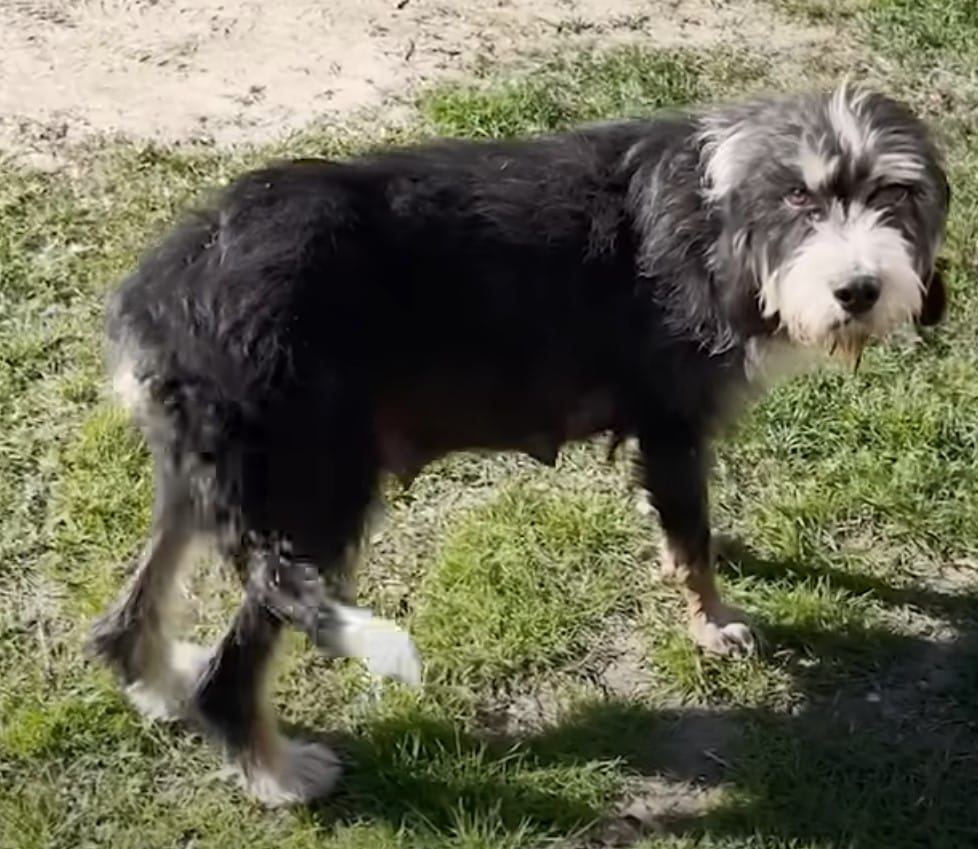 Extra image from article