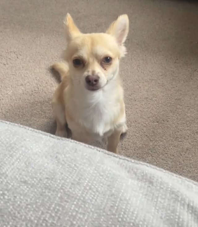 Extra image from article