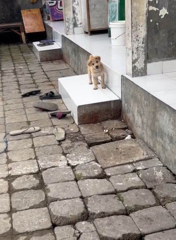 Prue envisions Nona's perfect forever ho...