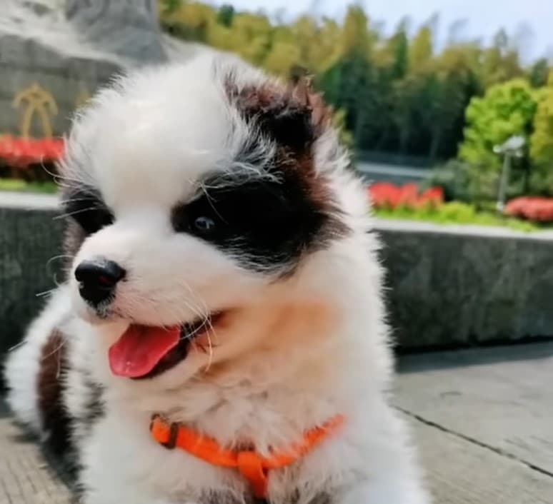 Extra image from article