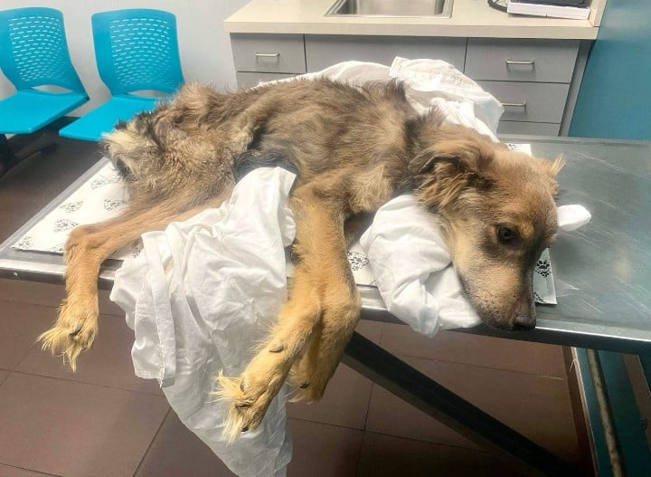 Sharing this turning point on Instagram,...