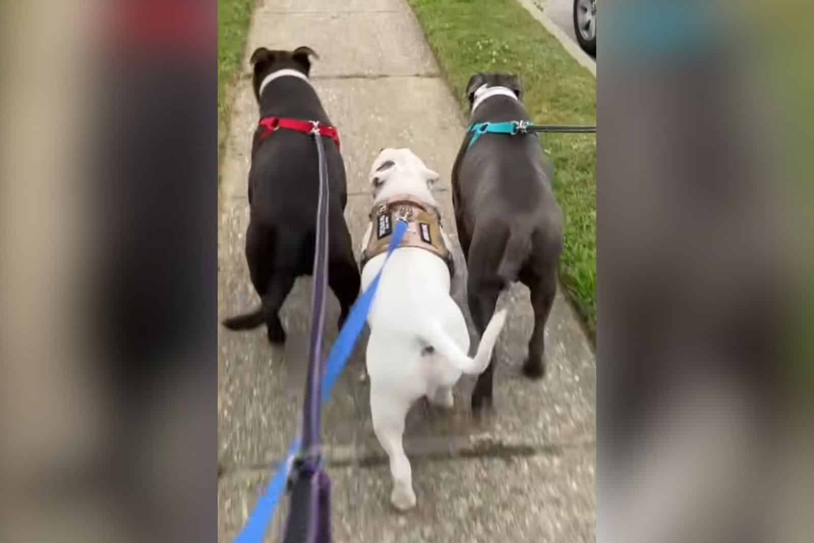 Extra image from article