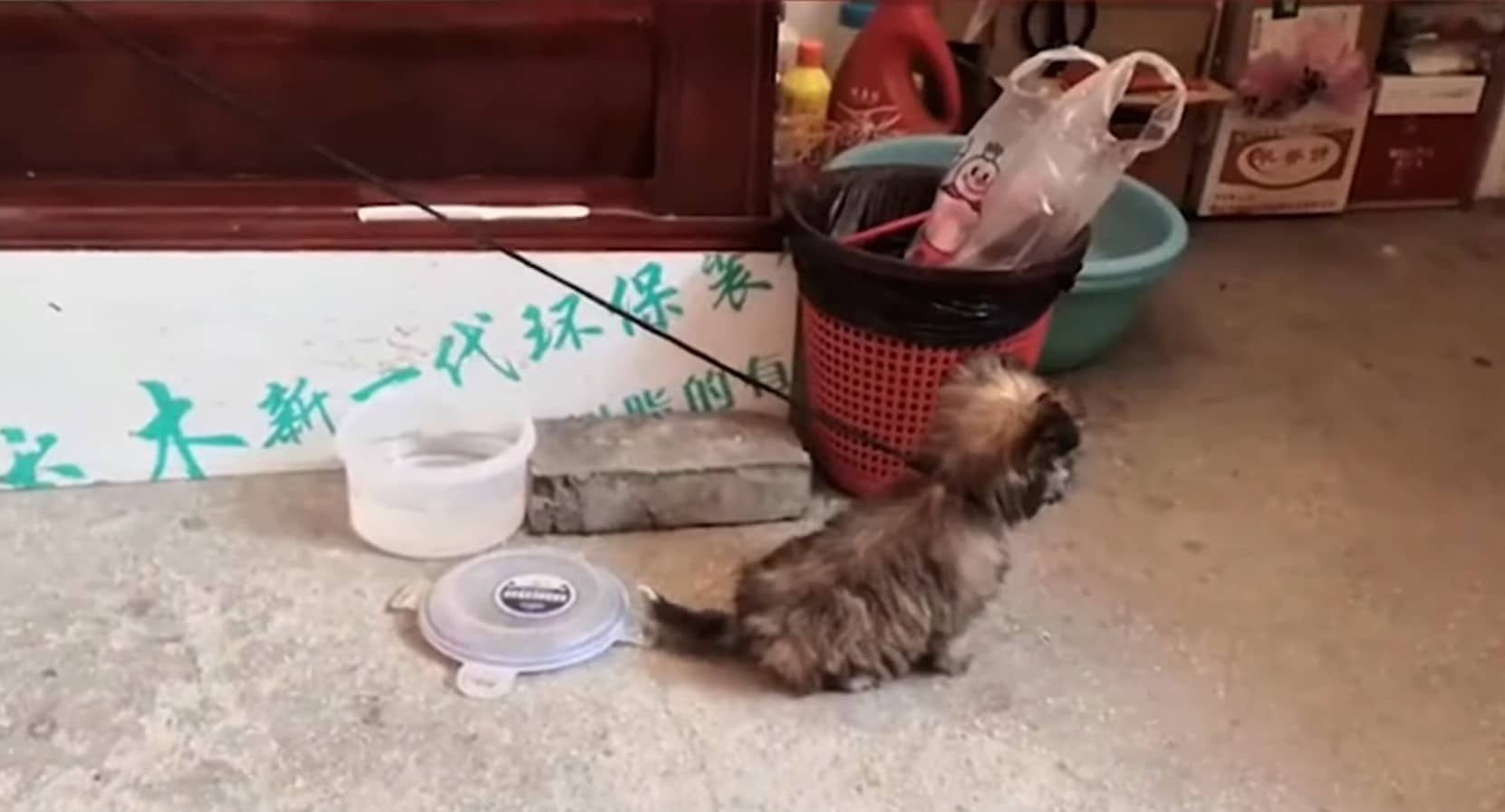 Extra image from article