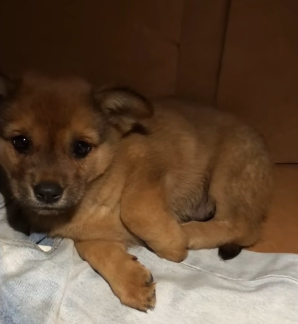 Extra image from article