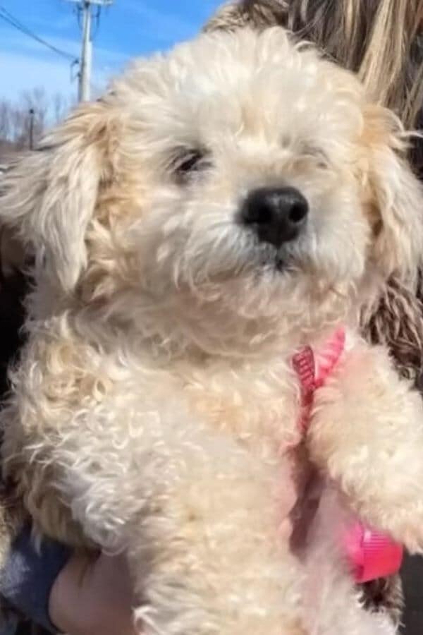 Extra image from article