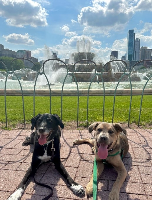 Here’s to many happy days ahead for Suga...