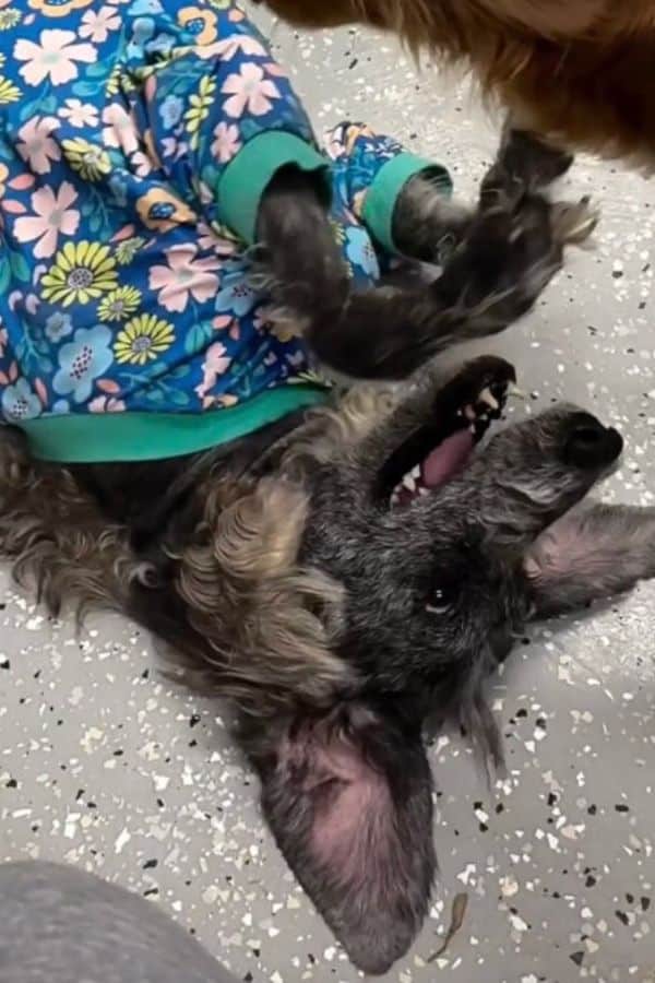 Extra image from article