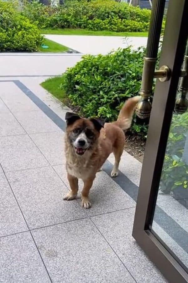 Extra image from article