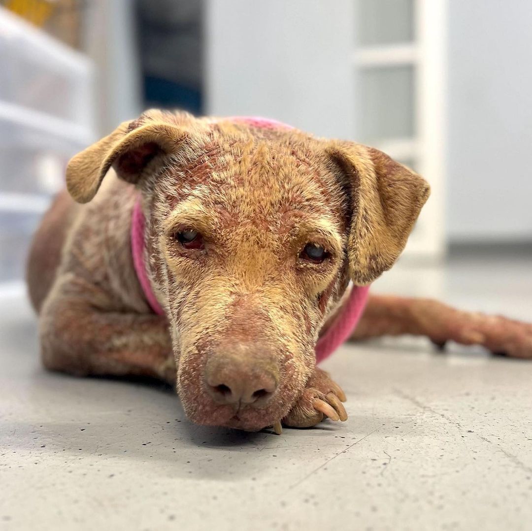 Extra image from article