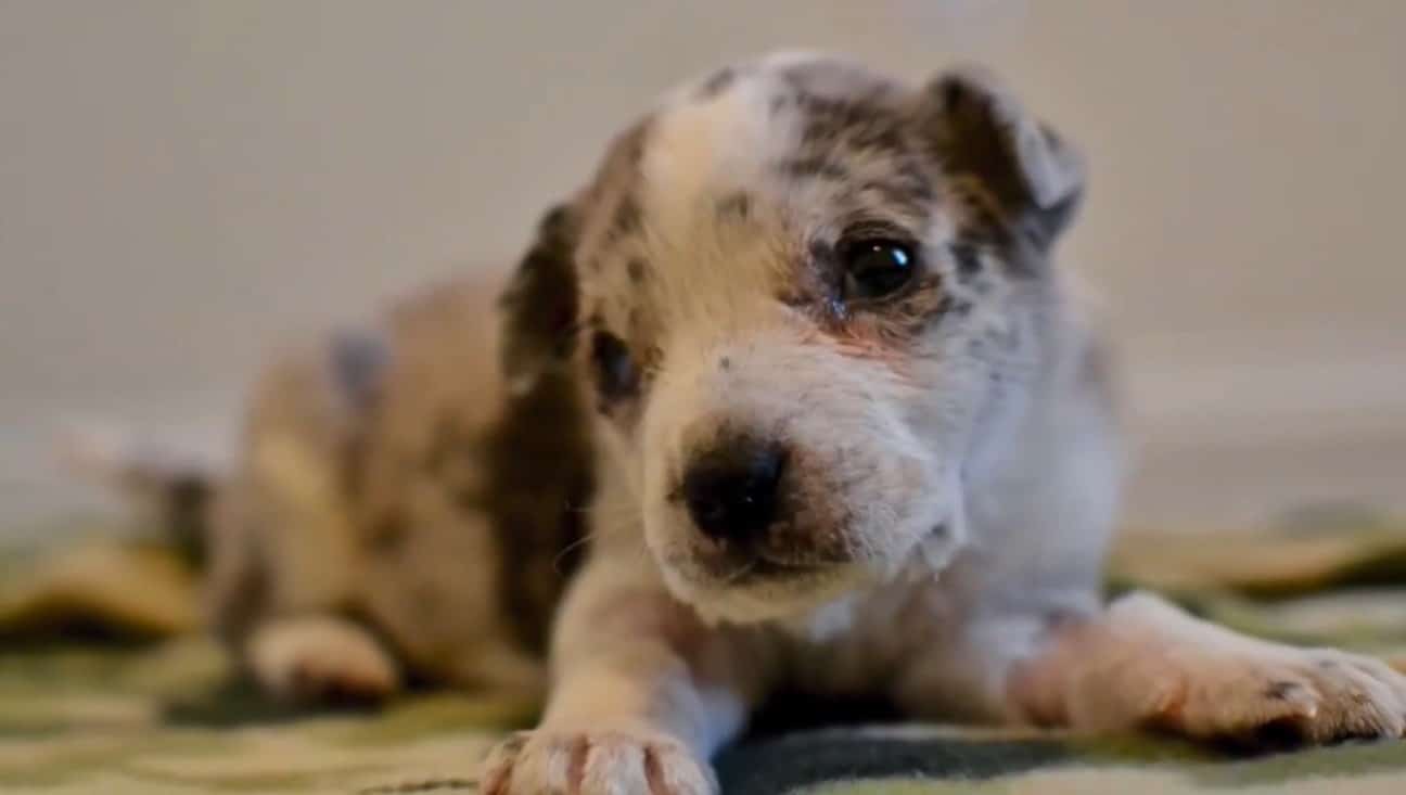 Extra image from article