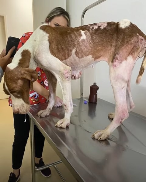 David and Valentina were inspired by San...