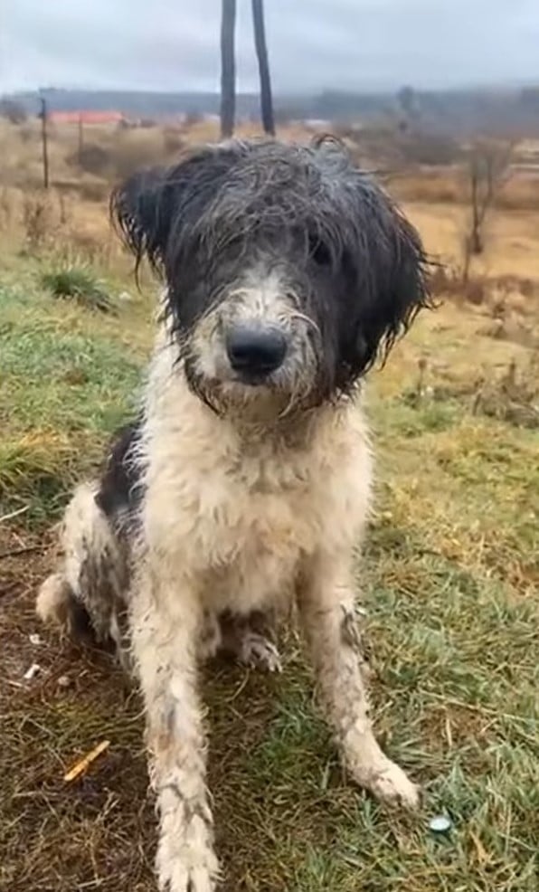 With his health stabilized, the rescuer ...