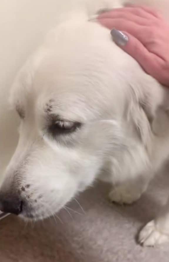 Extra image from article