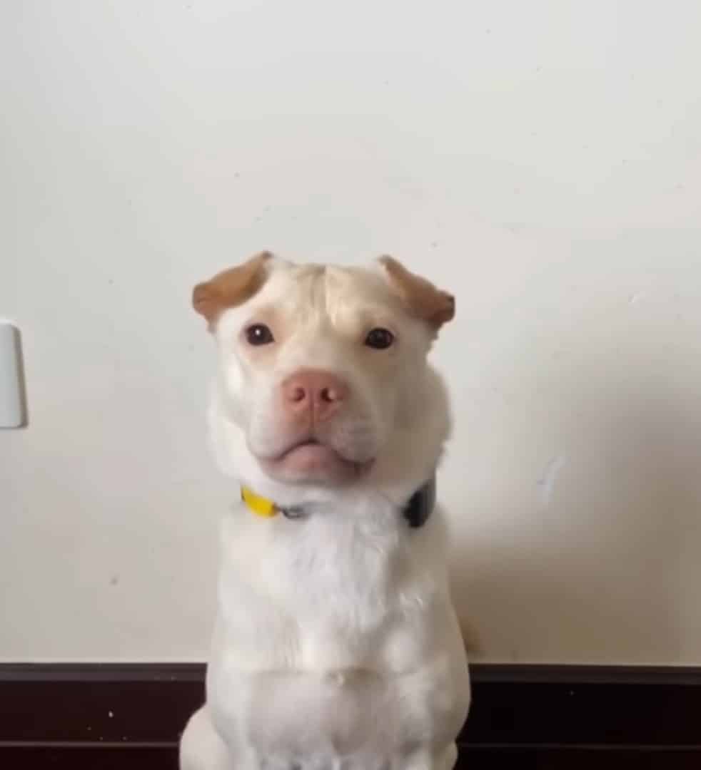 Extra image from article