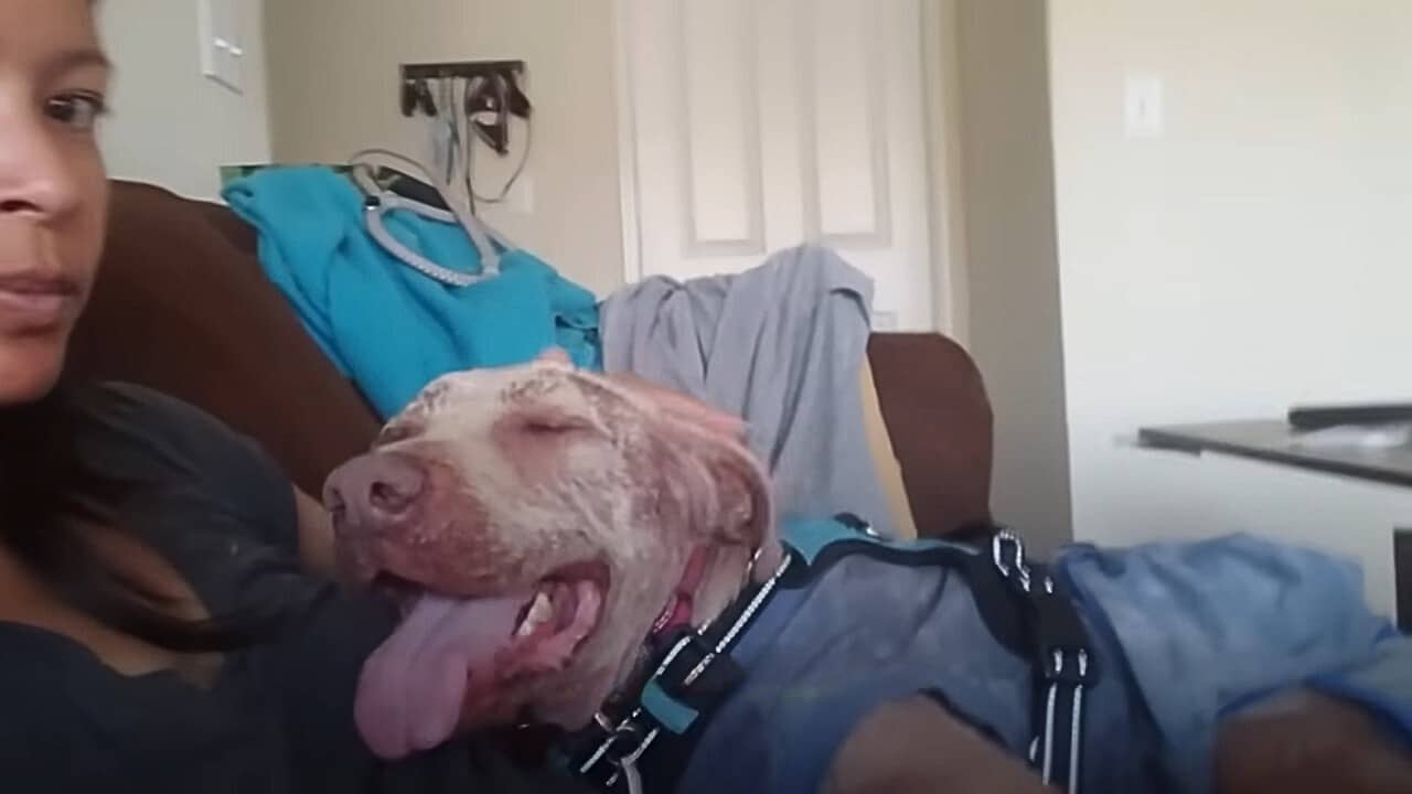 Extra image from article