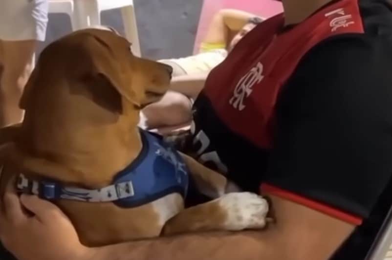 Extra image from article