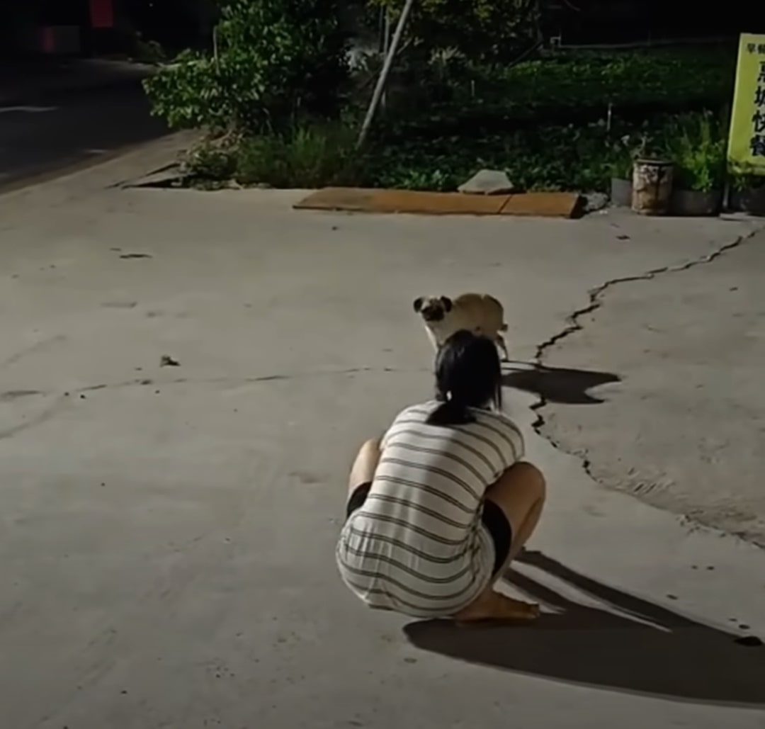 Extra image from article