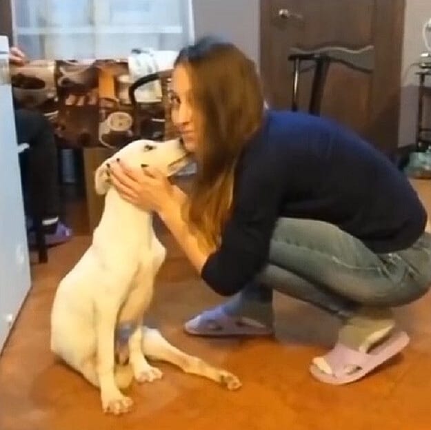 Extra image from article